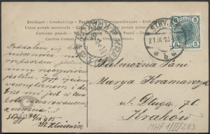 Kobieta z kwiatami we włosach, portret