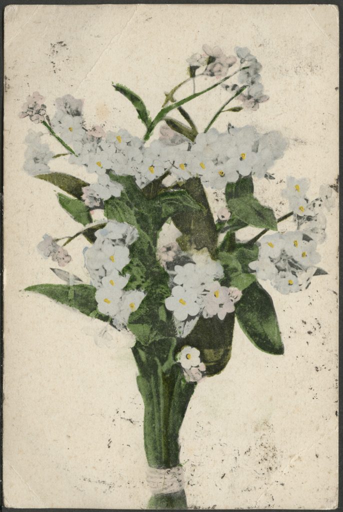 Reprodukcja malarstwa, niezapominajki