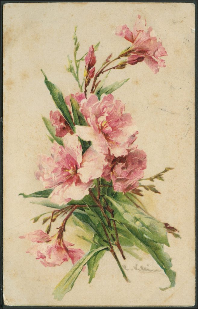 Reprodukcja malarstwa, bukiet różowych kwiatów