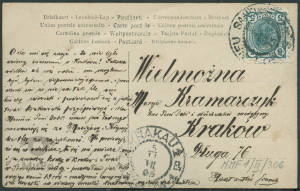 Violet Wegner, portret