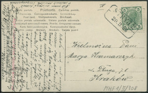 Kobieta z siatką na ryby, portret