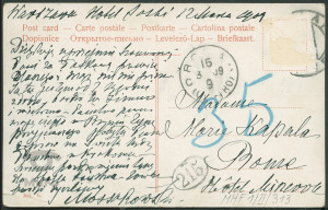 Reprodukcja rysunku,  kwiaty białego bzu