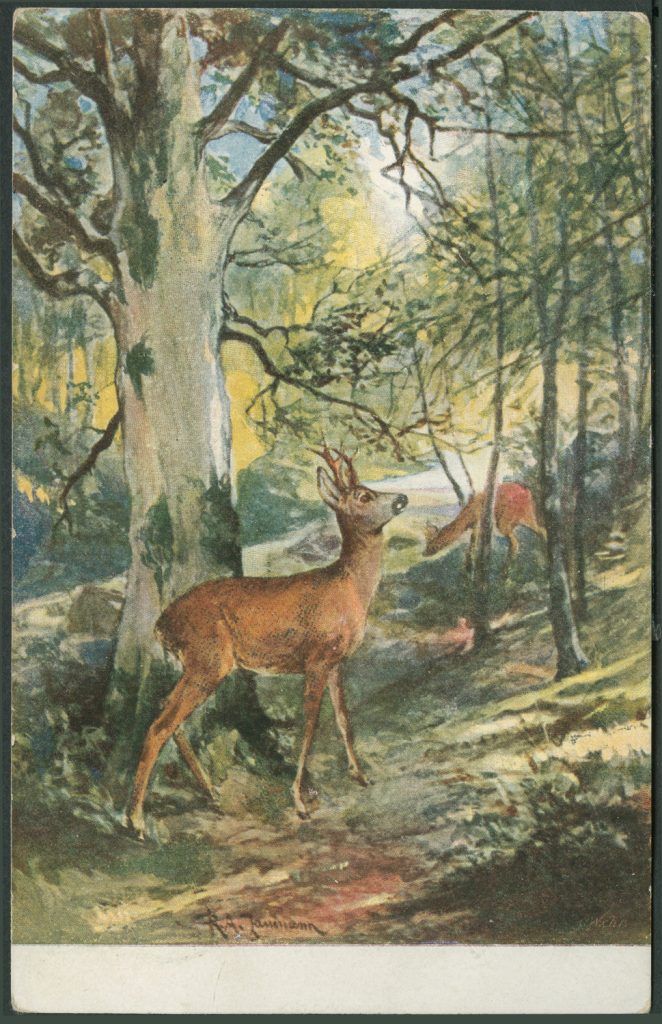 Reprodukcja malarstwa., R. A. (J) Zanmann, sarny w lesie