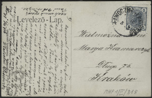 Kobieta w stroju ludowym, portret