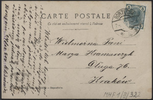 Dziewczynka wśród kwiatów, portret