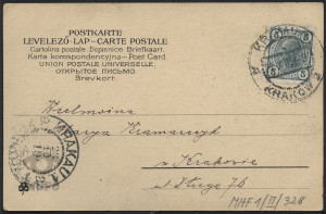 Reprodukcja rysunku, kobieta niosąca doniczkę z kwiatami