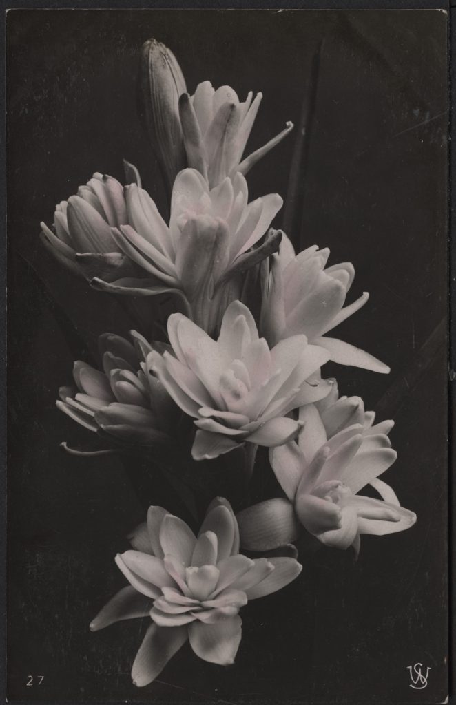 Kompozycja z kwiatami