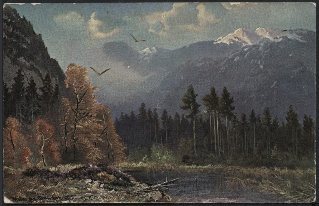 Reprodukcja malarstwa, pejzaż leśny