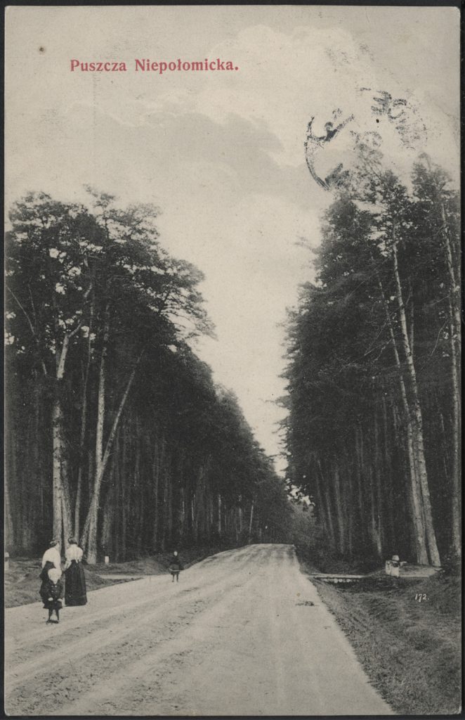 Puszcza Niepołomicka, pejzaż