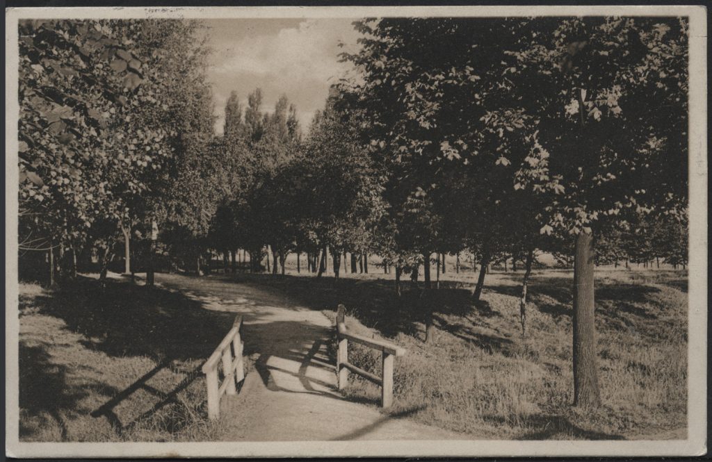 Widok z parku, pejzaż