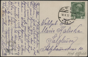 Pejzaż z kwitnącym bzem