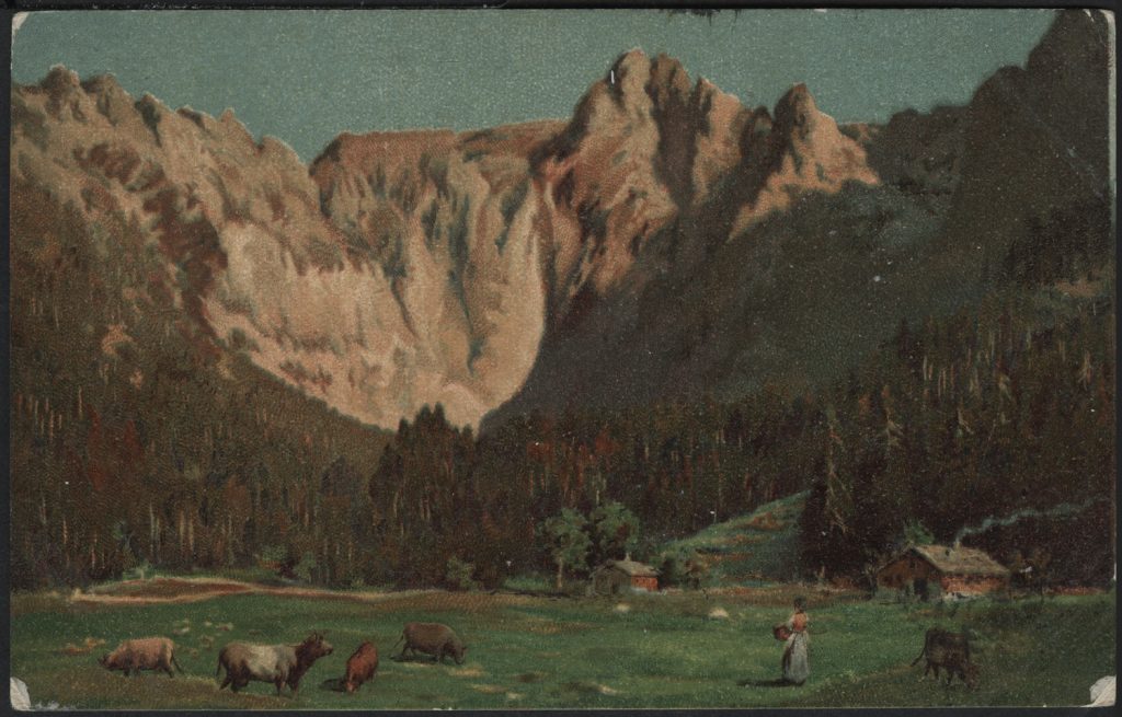 Pastwisko w górach, pejzaż