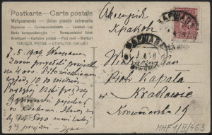 Pastwisko w górach, pejzaż