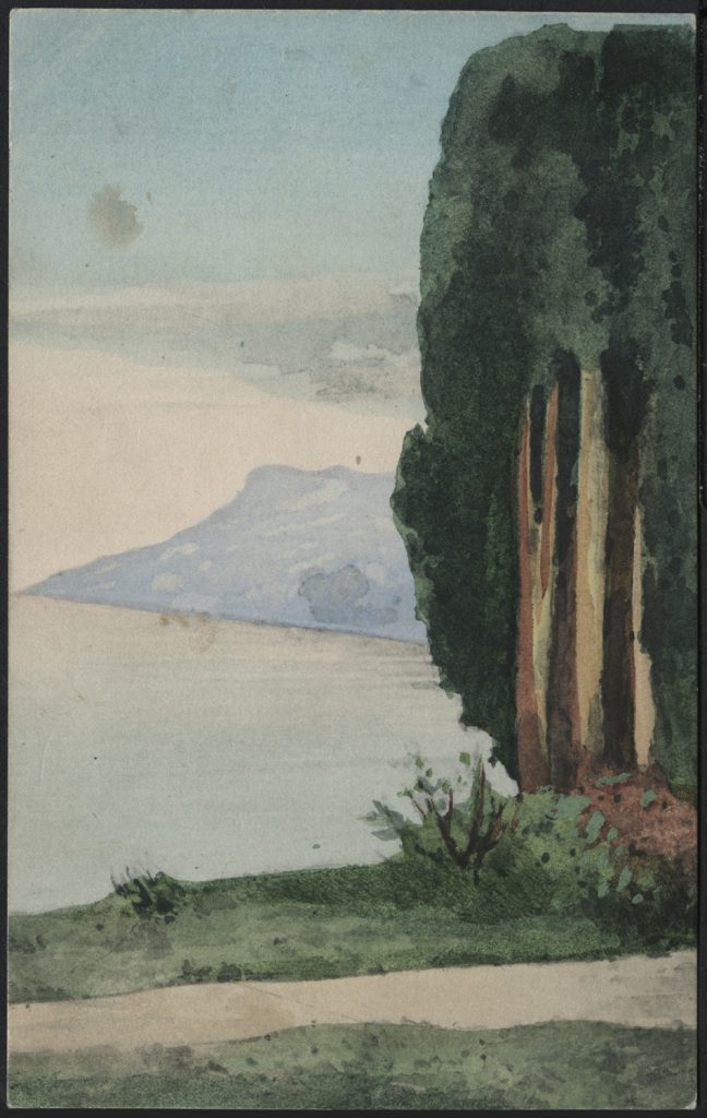 Sosny nad zatoką, pejzaż