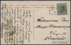 Sosny nad zatoką, pejzaż