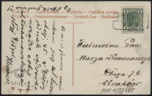 Cyprysy nad zatoką, pejzaż