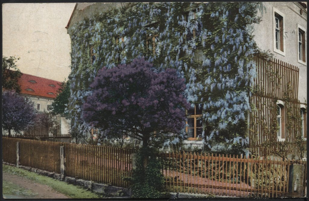 Dom z kwitnącymi pnączami