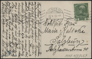 Dom z kwitnącymi pnączami