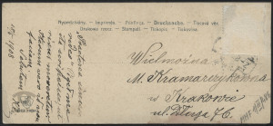 Zakole rzeki z lasem, pejzaż