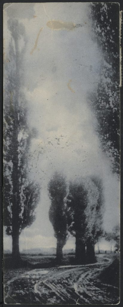 Topole przy drodze, pejzaż