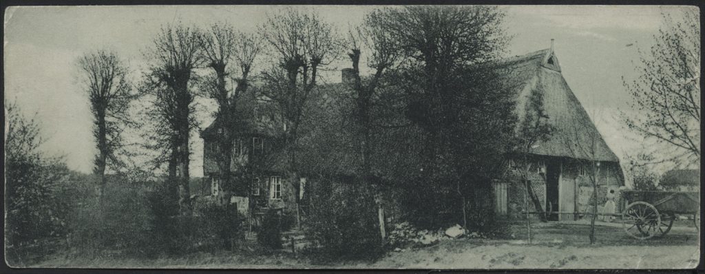 Wiejski dom za drzewami, pejzaż