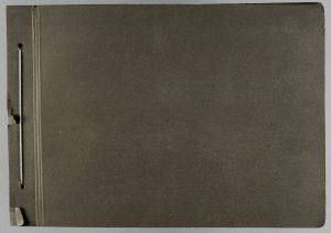 Sokoły, skauci, Wojsko Polskie na froncie