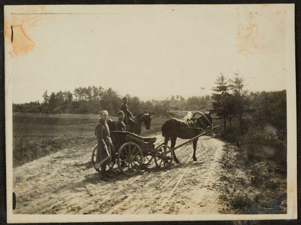 Bryczka na polnej drodze