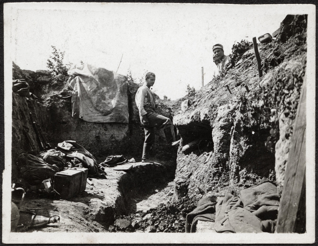 W okopiach pod Rarańczą.