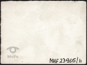 Oficerowie Legionów Polskich, portret zbiorowy