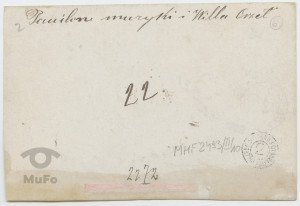 Krynica, tzw. Pawilon Muzyki i Willa Orzeł