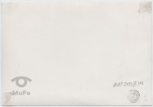 Krynica, drewniana altana