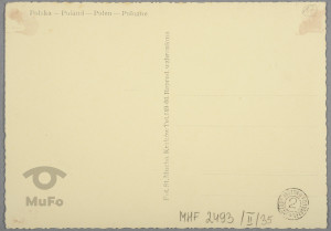 Krynica, Nowa Dzielnica i Nowe Łazienki;