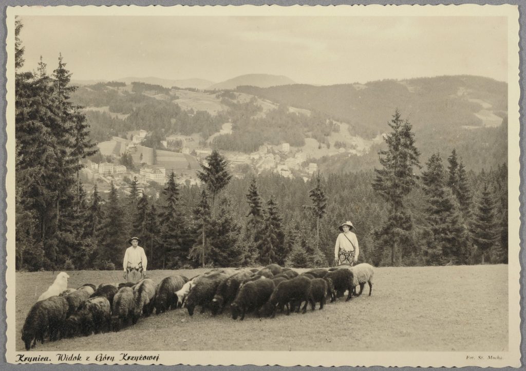 widok górski, górale i stado owiec ok. Krynicy