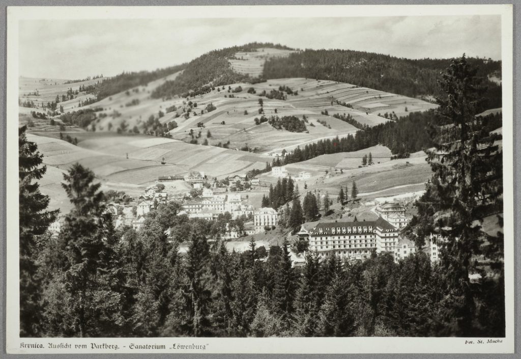 widok z góry Parkowej, " Lwigród " Krynica