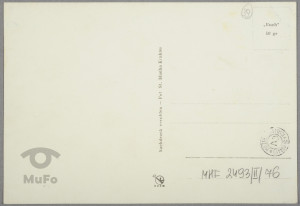 widok z góry Parkowej, " Lwigród " Krynica