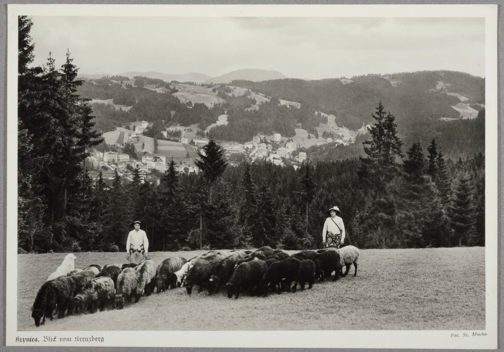 widok górski, z Góry Krzyżowej (ok. Krynicy )