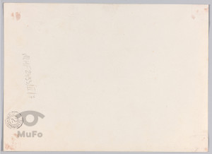 widok zimowy, polowanie