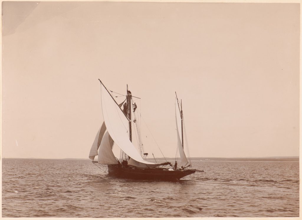 Erycina, zabezpieczanie
złamanego masztu