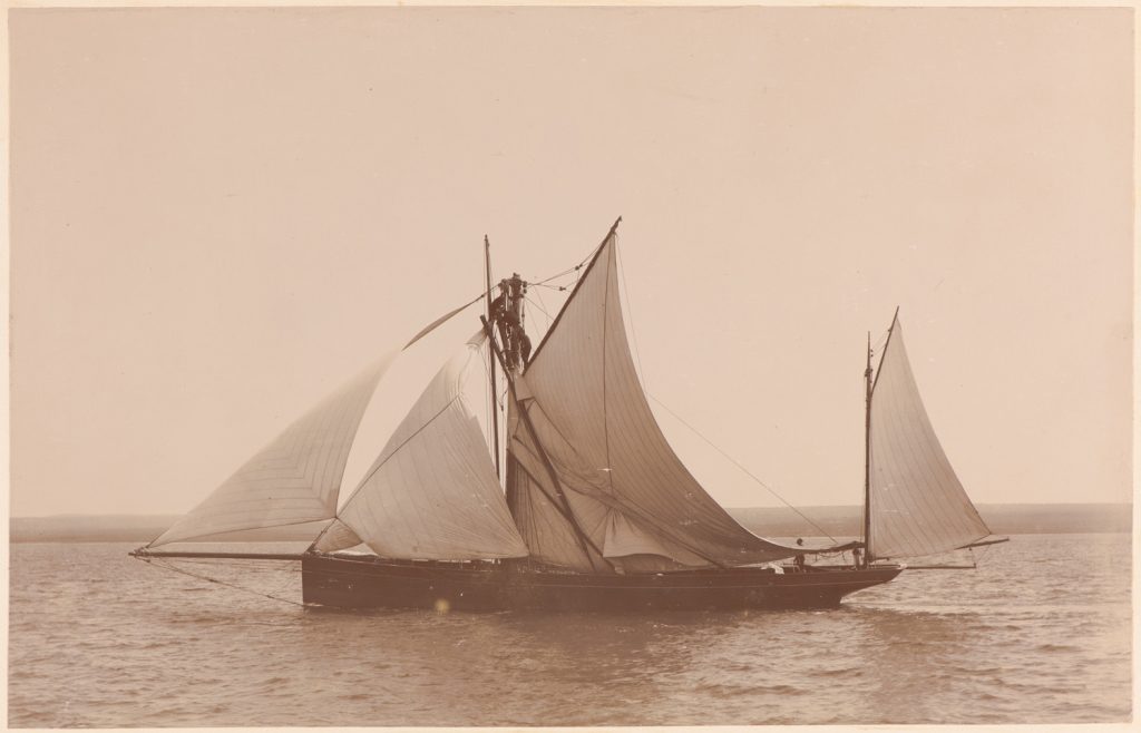 Erycina, zabezpieczanie
złamanego masztu