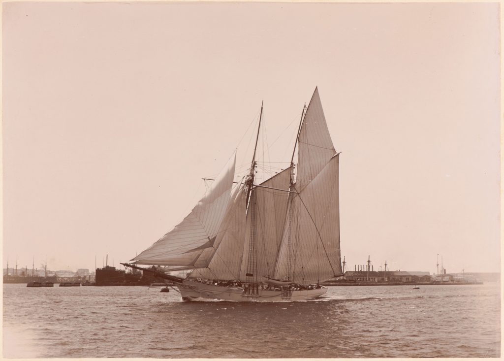 Senj płynie przez port w Puli.