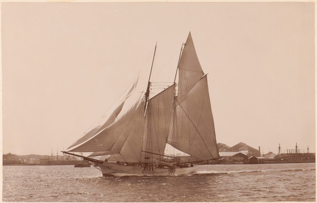 Senj płynie przez port Pula.