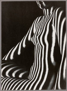 z cyklu " Projekcje"