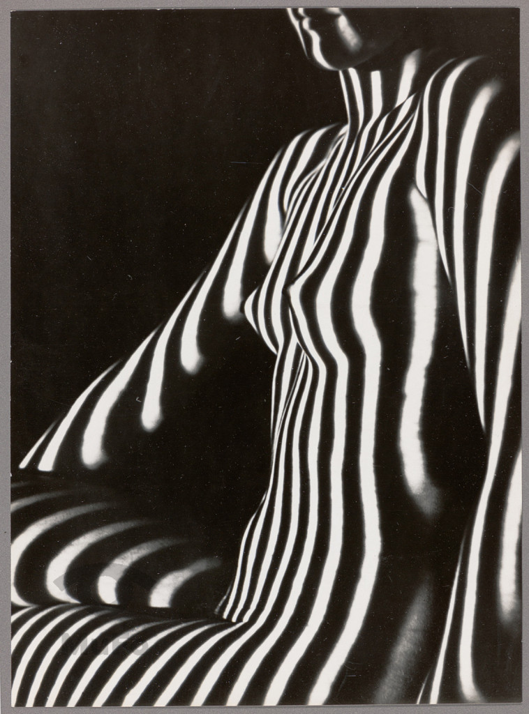 z cyklu " Projekcje"