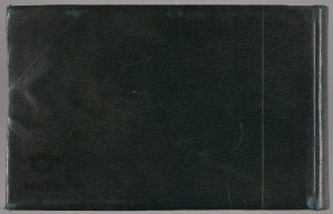 Album, 210 fotografii (pozytywy) rodzina Pusłowskich.