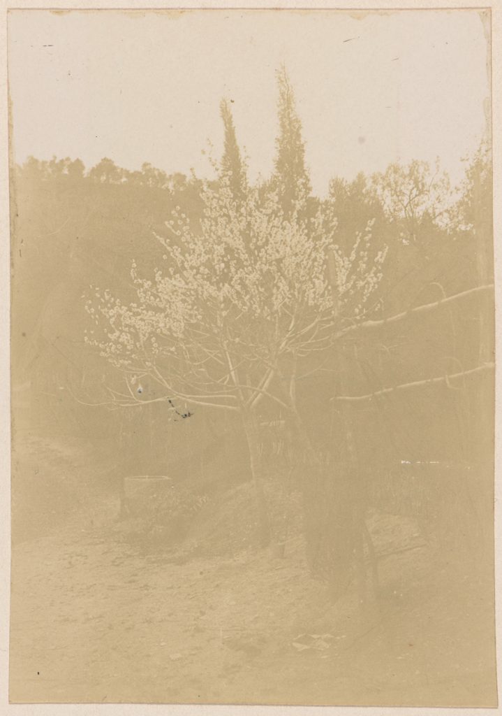 pejzaż - droga na terenie górskim