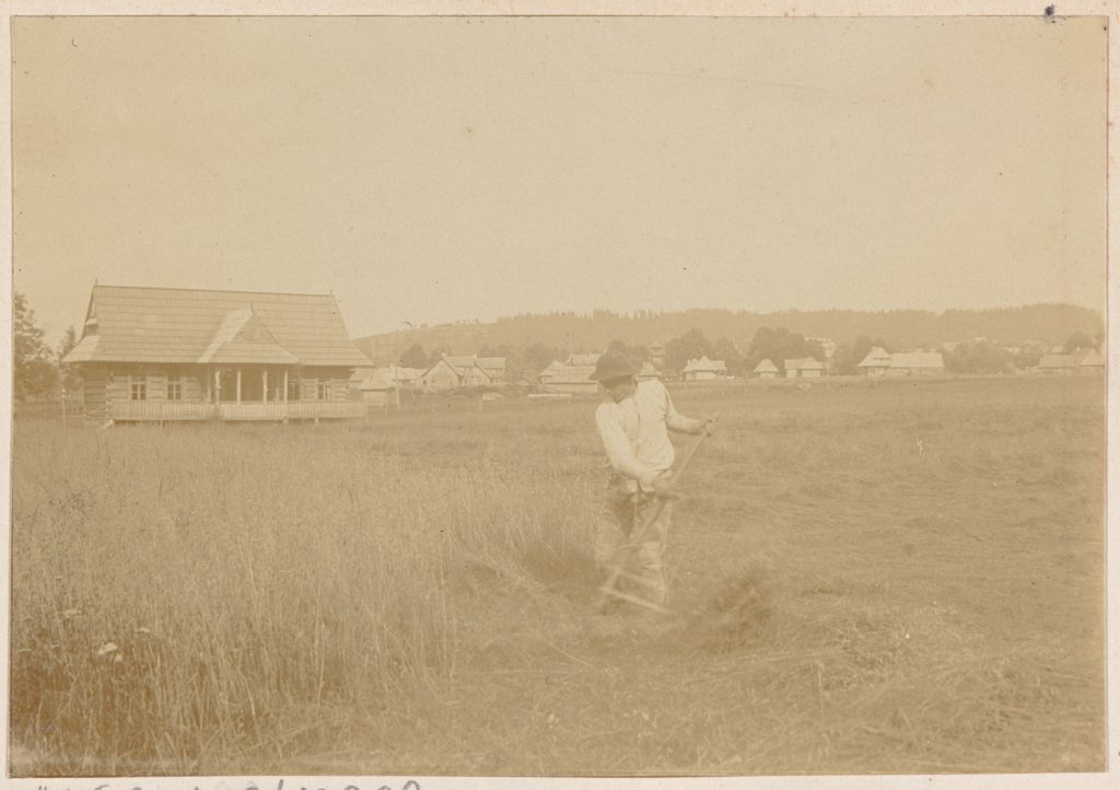 Zakopane, łąki pod reglami