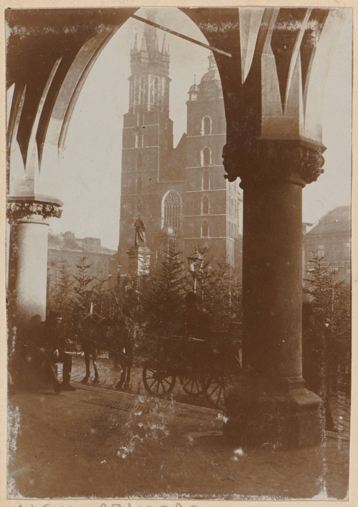 Kraków, Rynek Główny, sprzedaż choinek