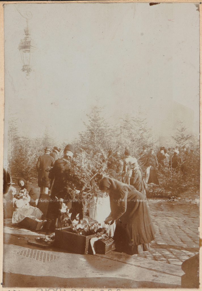 Kraków, Rynek Główny, sprzedaż choinek