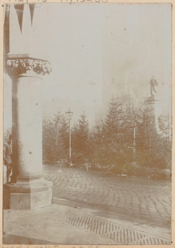 Kraków, Rynek Główny, sprzedaz choinek