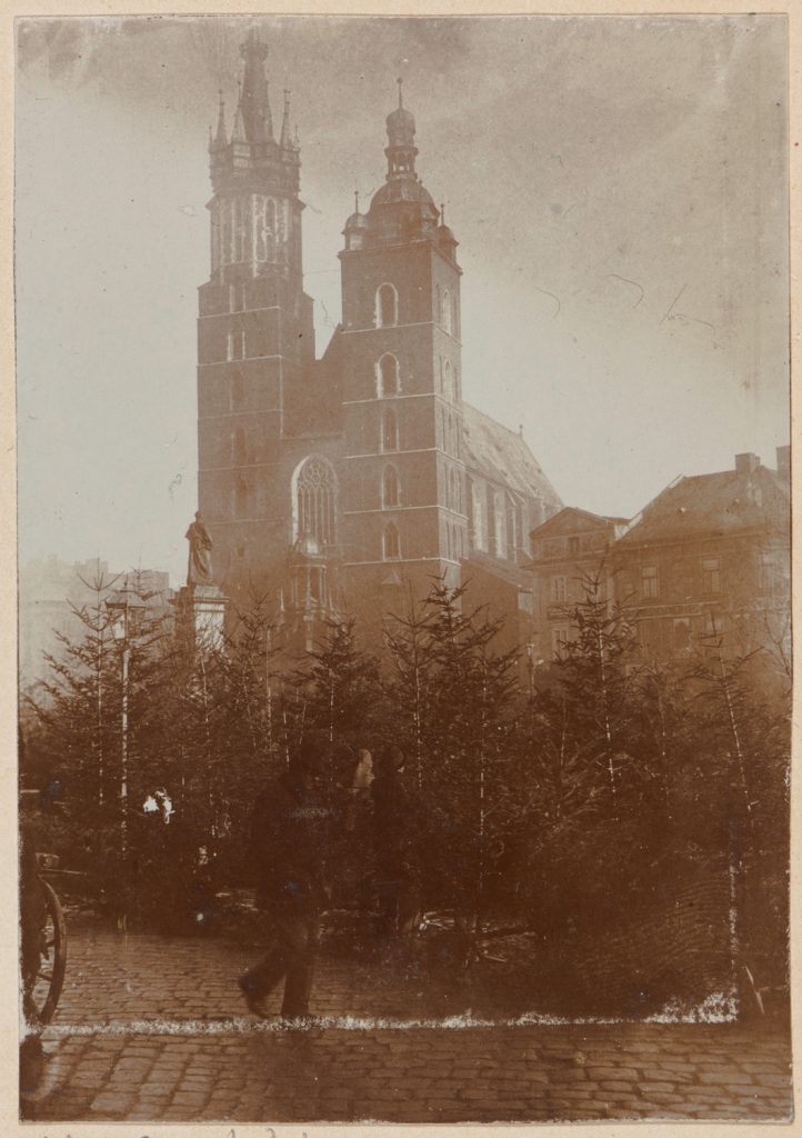 Kraków, Rynek Główny, sprzedaż choinek